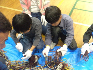 DSC02164.JPG