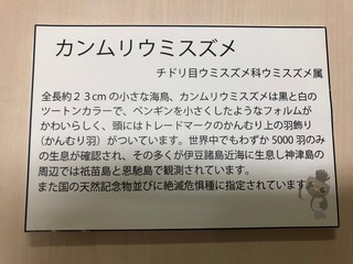 IMG_3934.jpg